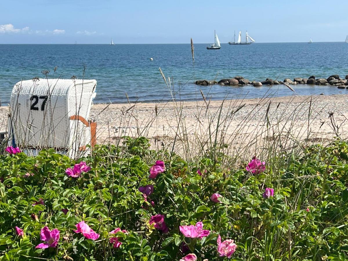 Seelund - Meeresrauschen Lauschen - Ruhiges Sonniges Apartment Mit Garten Und Terrasse Nahe Strand Und Ostsee Schönhagen Εξωτερικό φωτογραφία